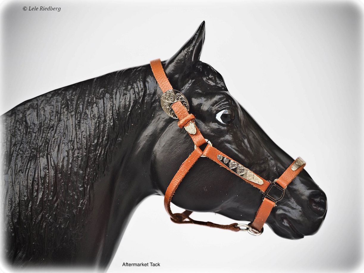 Cherry Creek Fonzie Merit | BreyerHorseRef